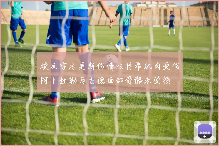 埃及官方更新伤情法特希肌肉受伤阿卜杜勒马吉德面部骨骼未受损