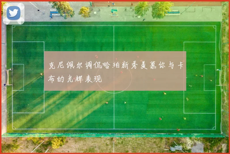 克尼佩尔调侃哈珀新秀羡慕你与卡布的光辉表现