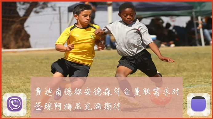 费迪南德称安德森符合曼联需求对签琼阿梅尼充满期待